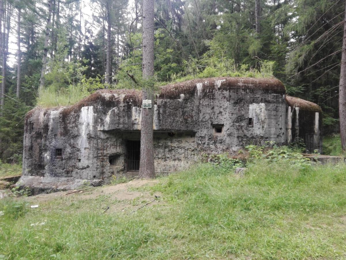 Penzion La Baita Branna Exterior photo